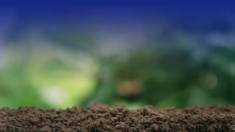 تحقیق در مورد تقویت خاک با کود