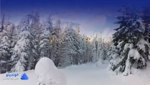 تحقیق در مورد طبیعت در فصل زمستان ❤ دانلود PDF