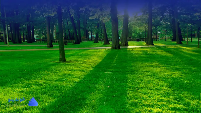 تحقیق در مورد نقش سازمان محیط زیست بر پاکیزگی طبیعت  ❤ دانلود PDF